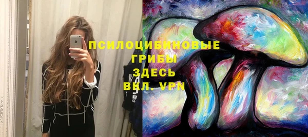 гидропоника Михайловск
