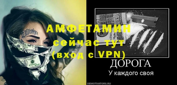 стаф Болотное
