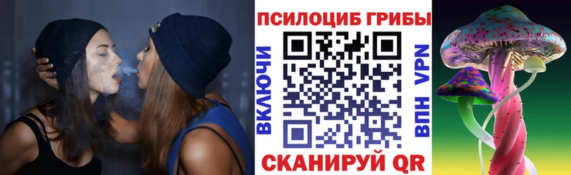 Псилоцибиновые грибы GOLDEN TEACHER  дарнет шоп  Плёс 